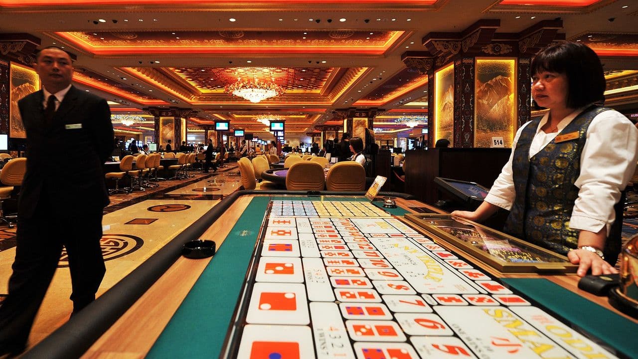 Turnkey Casino Software Provider: What German Operators Need to Know
