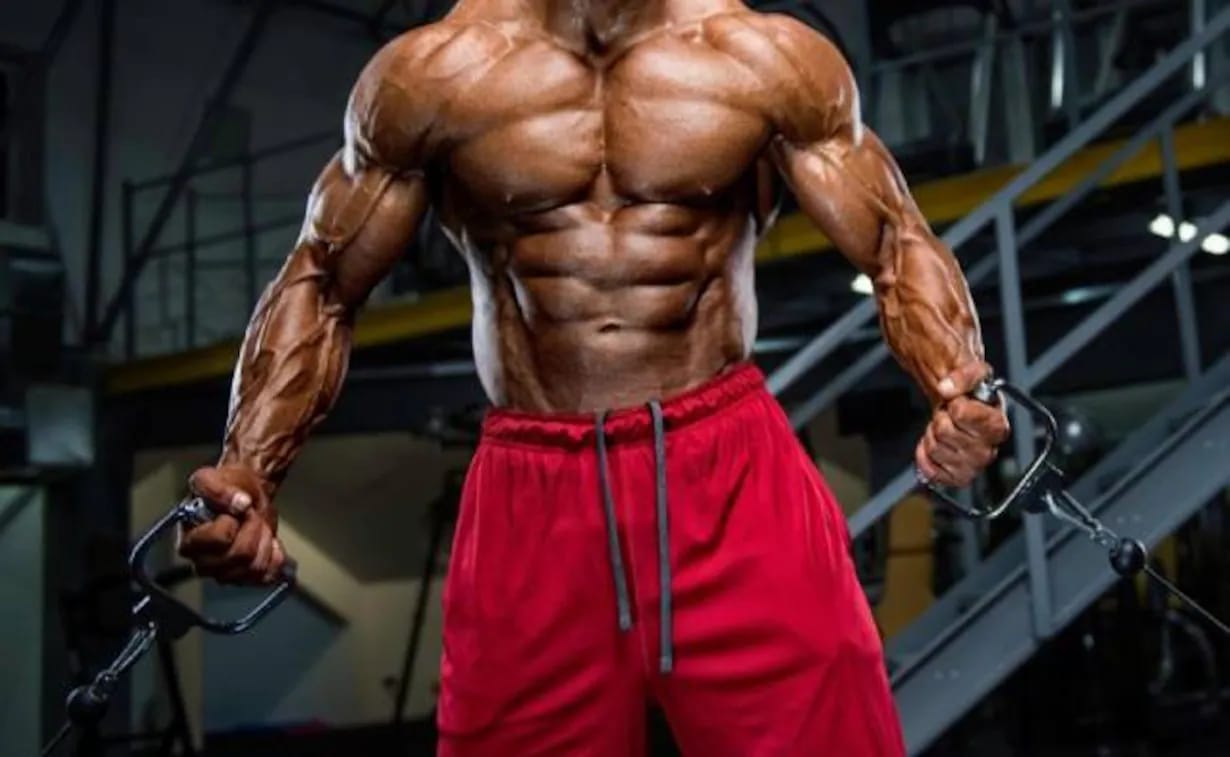 Universal Nutrition: Top-Marken für Ihre Fitnessziele bei Fatburnerking