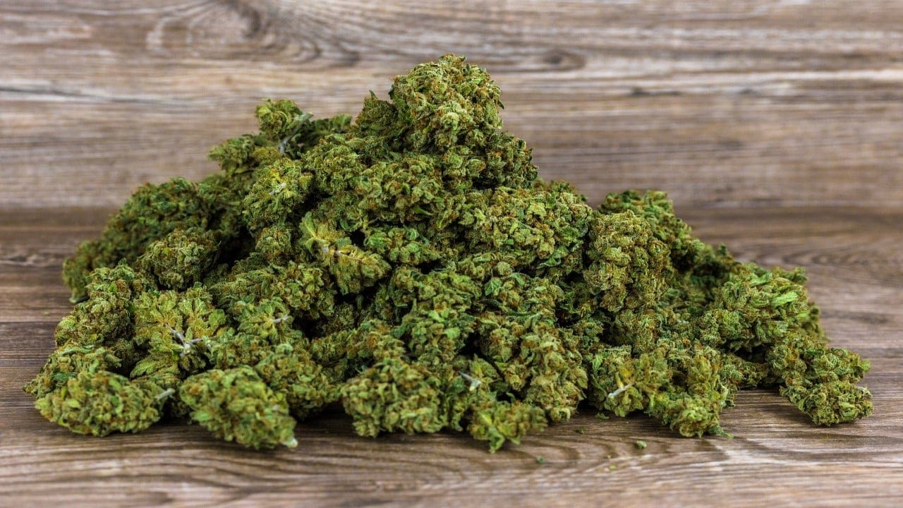 Cannabis Samen und Alzheimer-Krankheit: Eine Überprüfung der Evidenz